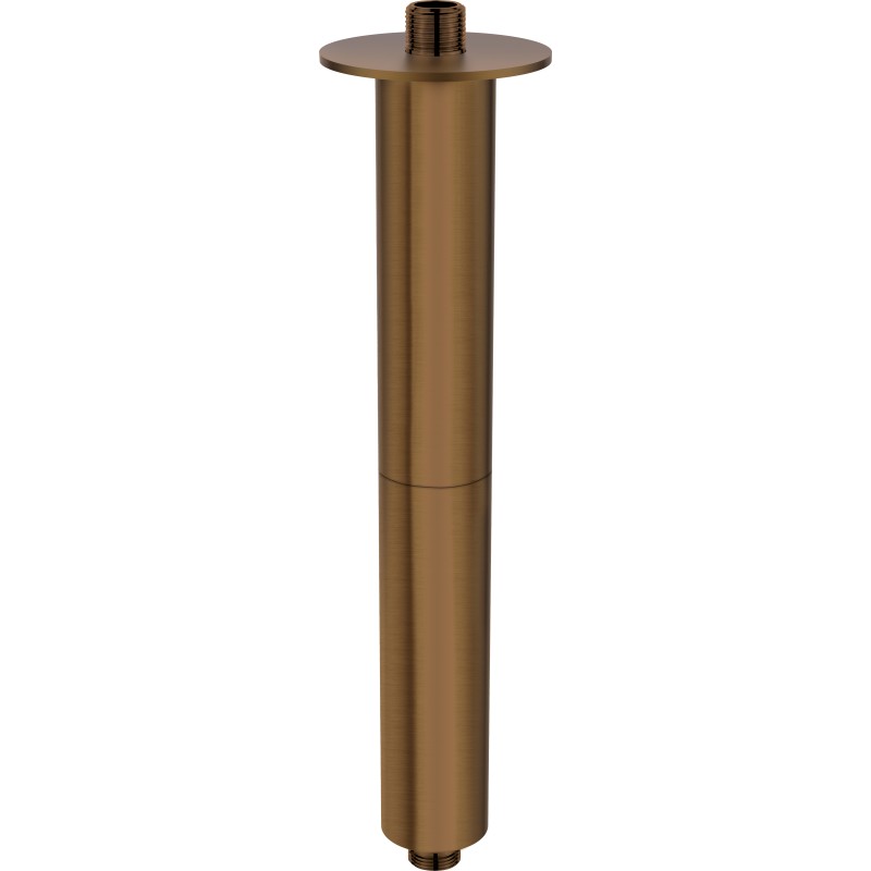 Wylewka prysznicowa sufitowa - 300 mm                            