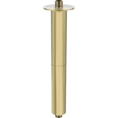 Wylewka prysznicowa sufitowa - 300 mm                            