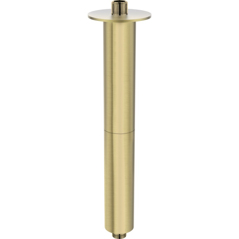 Wylewka prysznicowa sufitowa - 300 mm                            